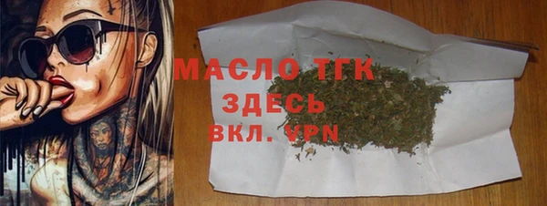 эйфоретик Няндома