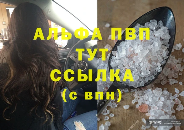 эйфоретик Няндома