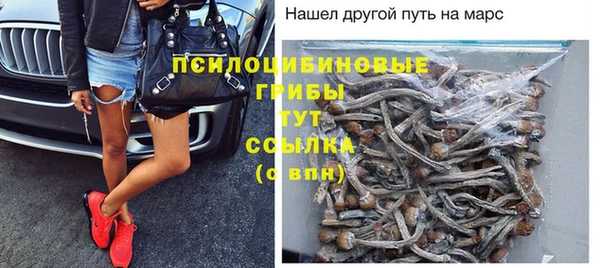 эйфоретик Няндома