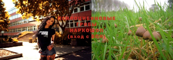 эйфоретик Няндома