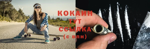 эйфоретик Няндома