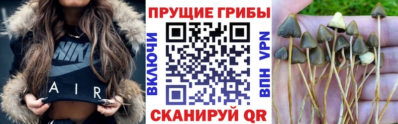 Купить  Фёдоровский  Галлюциногенные грибы мицелий 